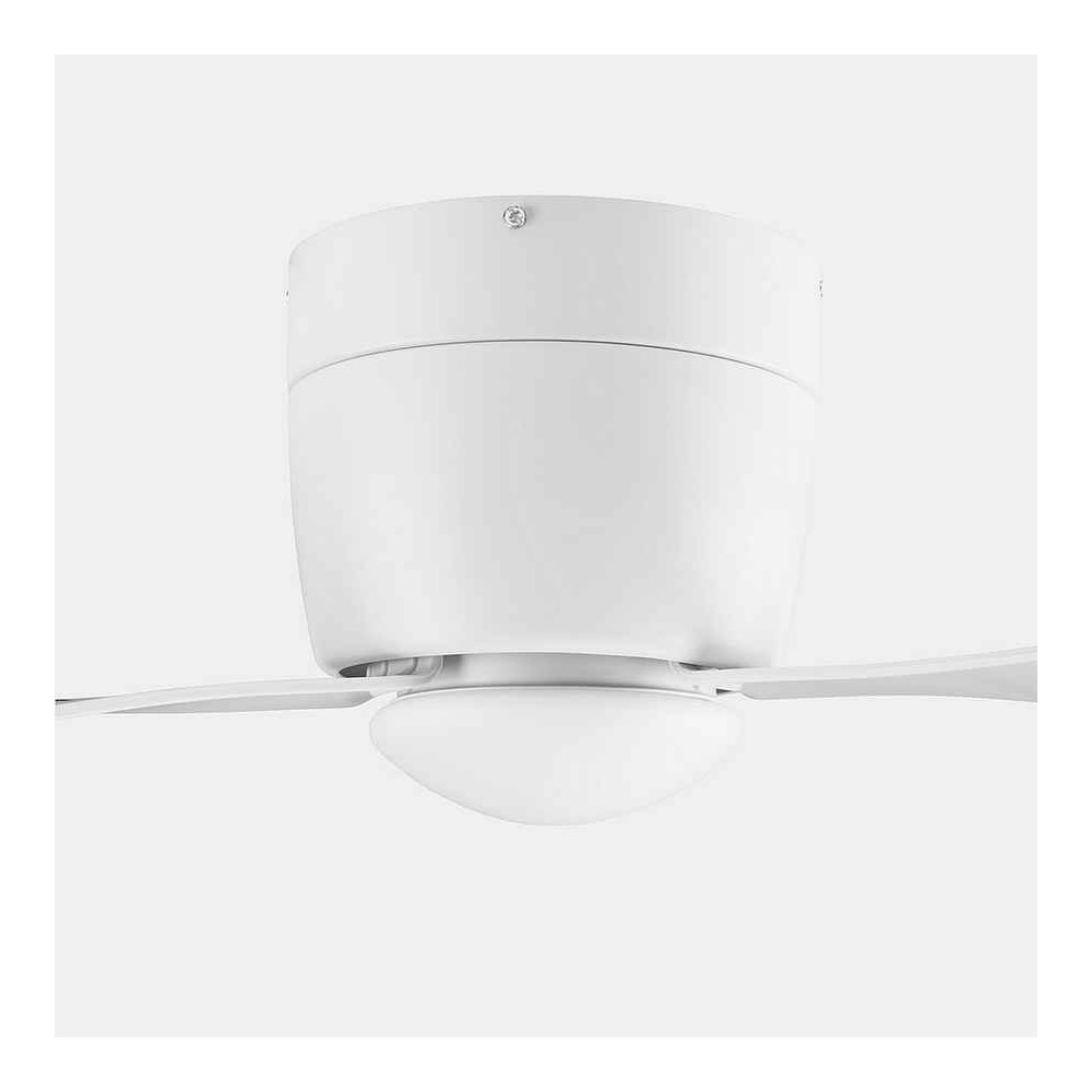 White led fan, BORA small DC motor FORLIGHT