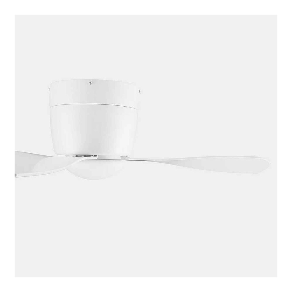 White led fan, BORA small DC motor FORLIGHT