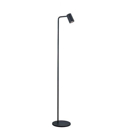BLACK standing lamp from a light MANTRA