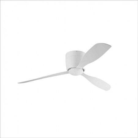 White led fan, BORA small DC motor FORLIGHT