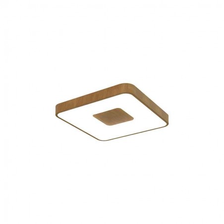plafon marron with remote control and remote control COIN MANTRA
