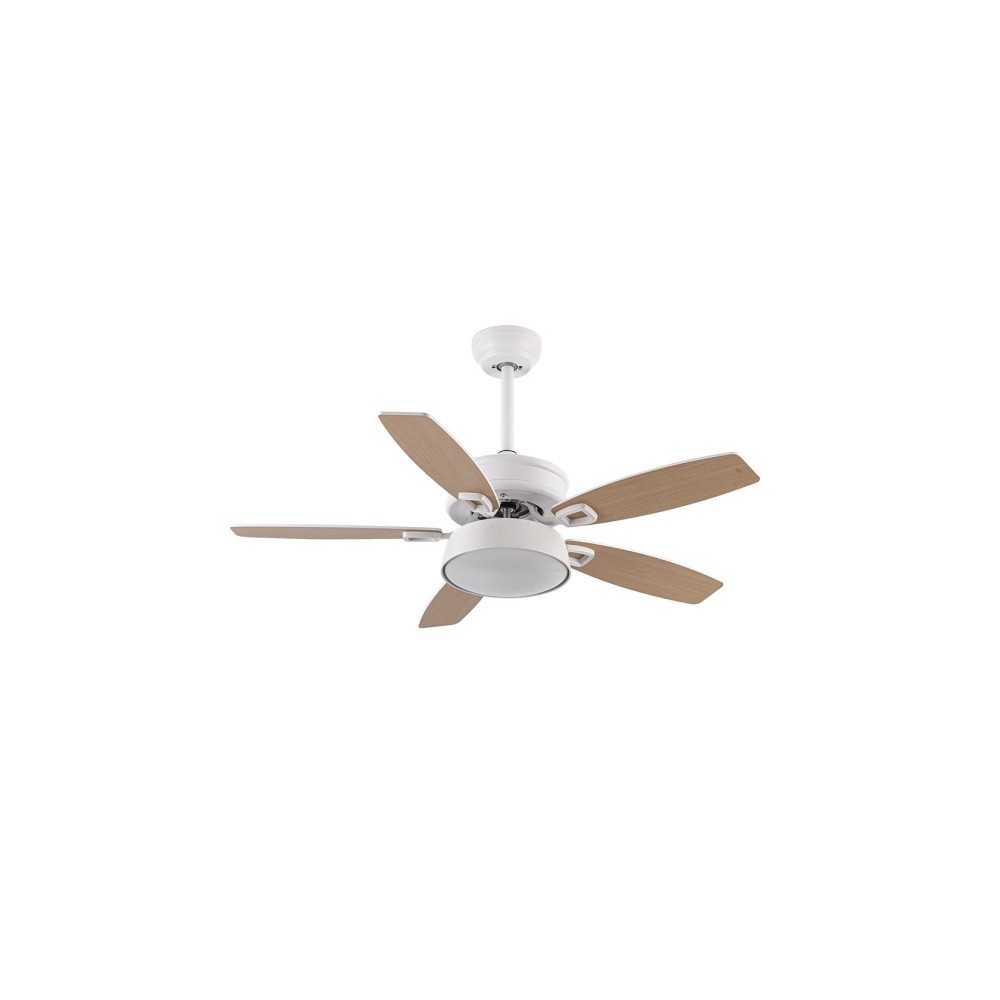 Ventilateur 30w Dc Braw White 5 White Asps 6 Vel. 3 Couleurs 106.7d C/Remoto, Memory & Timer 2850lm