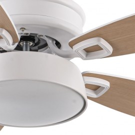Ventilateur 30w Dc Braw White 5 White Asps 6 Vel. 3 Couleurs 106.7d C/Remoto, Memory & Timer 2850lm