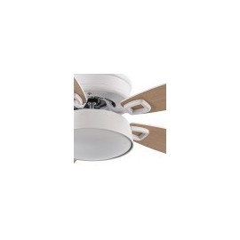 Ventilateur 30w Dc Braw White 5 White Asps 6 Vel. 3 Couleurs 106.7d C/Remoto, Memory & Timer 2850lm