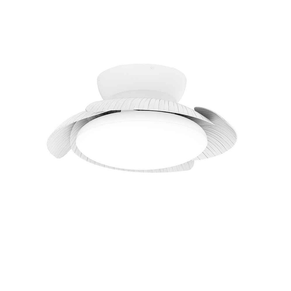dC ALOHA white LED integrated intensity Mantra