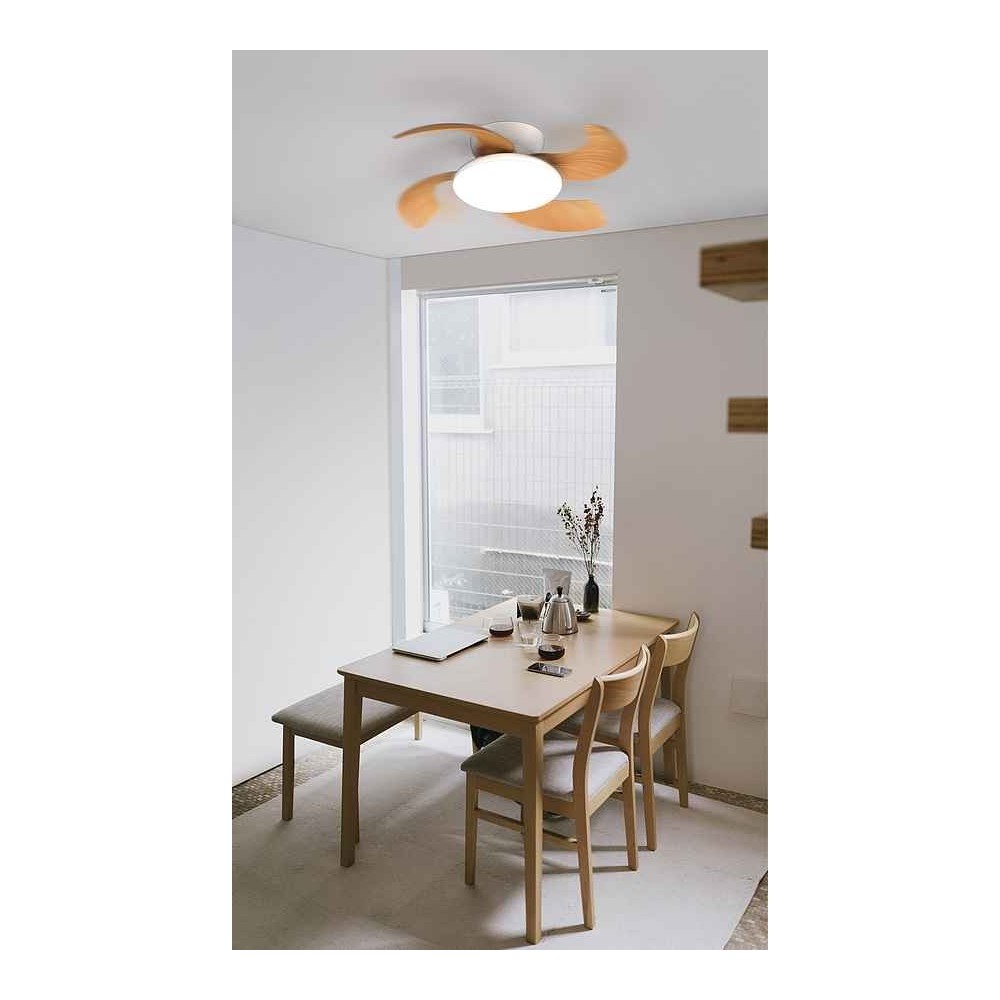 dC ALOHA white LED integrated intensity Mantra