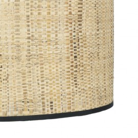 Ventilator Dc 24w Natasha CaÃ±izo/blanco-haya 70d 3 Aspas 6vel. 2390lm 3 Colors Remote, Memory, Timer