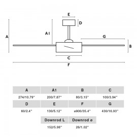 Éventail blanc SAINT L