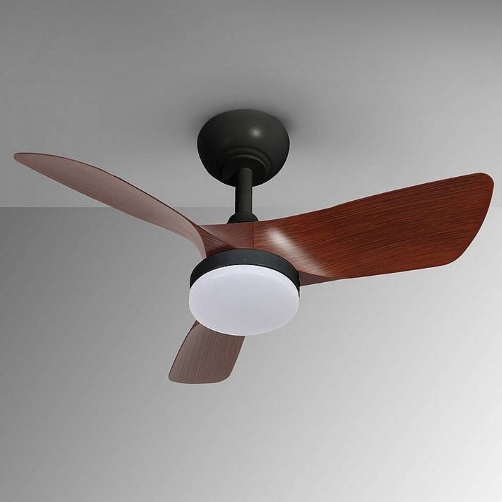DC TROPIC noir noyer conduit télécommande Dimable Schuller