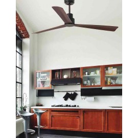 Ventilateur de toit Nassau, moteur Faro DC