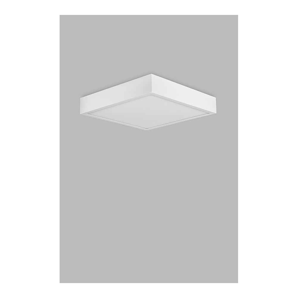 Downlight LED Surface Blank Model Saona MANTRA