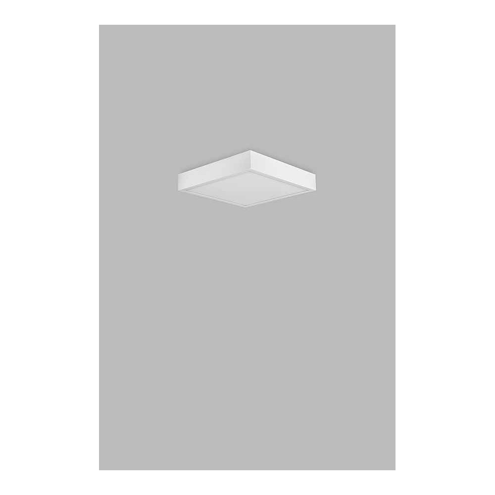 Downlight square surface finished in BLANCO model SAONA MANTRA