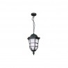 Jazmin 1l Bronze (20x35)